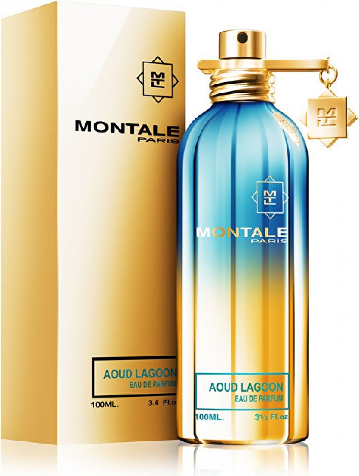 Montale Aoud Lagoon Parfumuotas vanduo