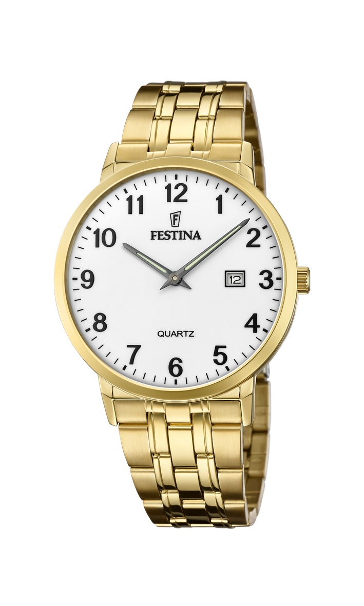 FESTINA 20513/1