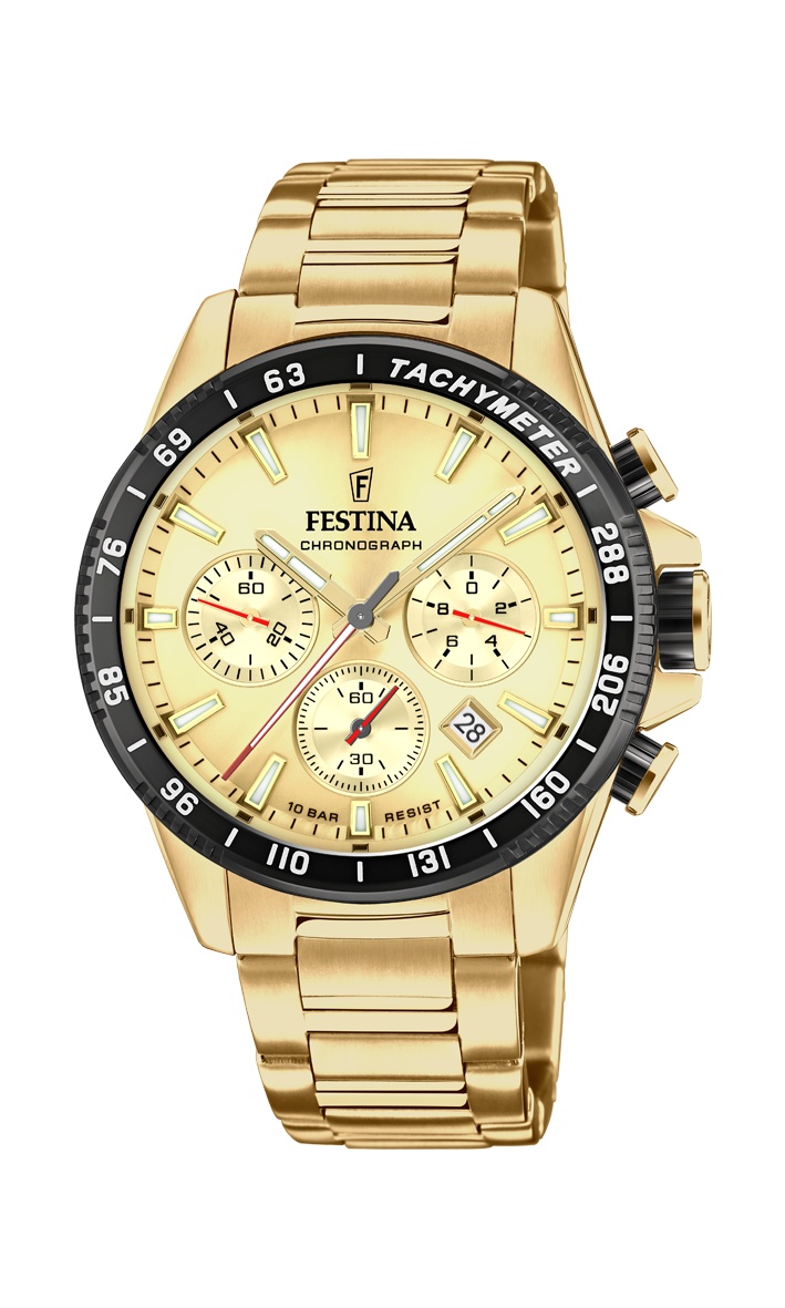 FESTINA 20634/6