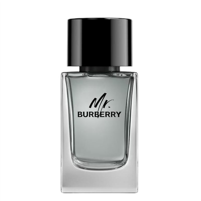 Burberry Mr. Burberry for Men Eau de toilette Tualetinis vanduo