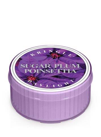 Kringle Candle Sugar Plum Poinsettia kvapioji žvakė (35 g)