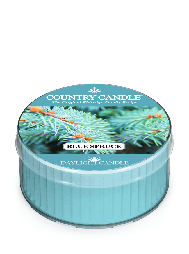 Country Candle Blue Spruce kvapioji žvakė (42g)