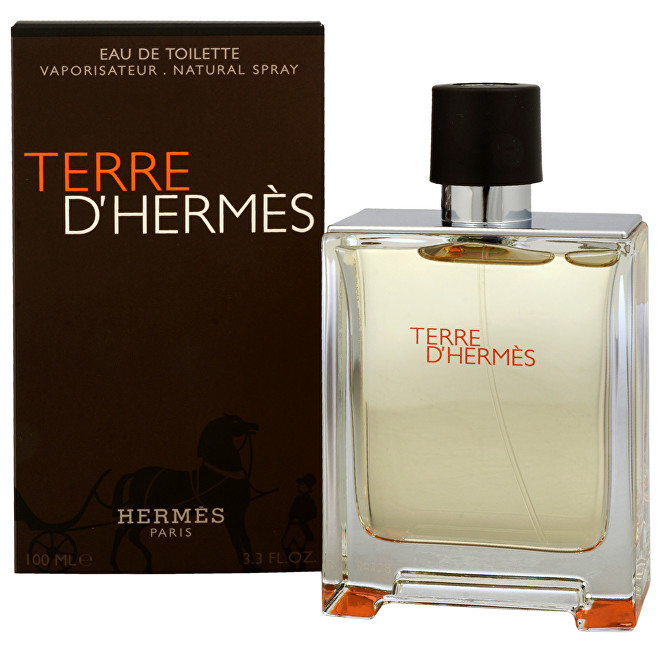 Hermes Terre D'Hermes Tualetinis vanduo