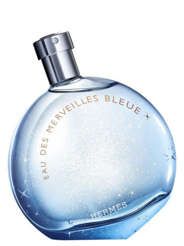 Hermes Eau Des Merveilles Bleue Tualetinis vanduo