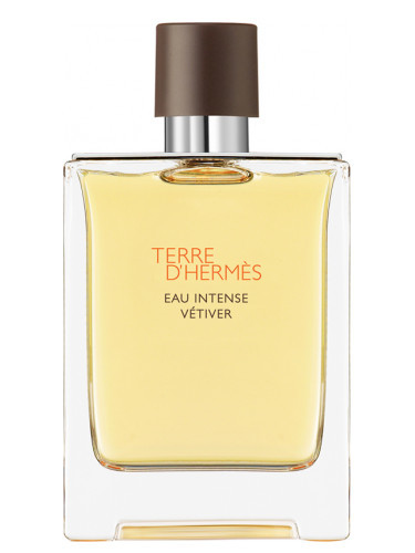 Hermes Terre D'Hermes Eau Intense Vetiver Parfumuotas vanduo